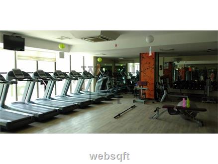 Retail showroom for Rent